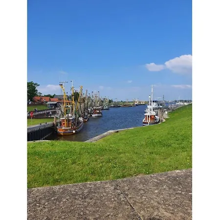 Apartment, Haus Seemoewe Norddeich (Norden)